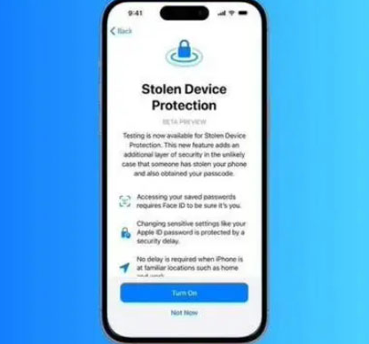 涞源苹果授权维修店分享被盗设备保护功能开启方法 