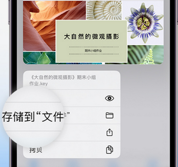 涞源apple维修中心分享iPhone文件应用中存储和找到下载文件