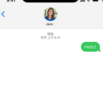 涞源apple维修iPhone上无法正常发送iMessage信息