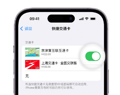 涞源apple维修点分享iPhone上更换Apple Pay快捷交通卡手绘卡面 