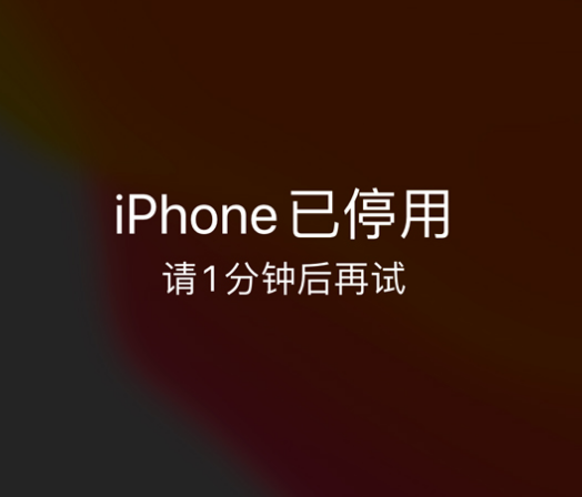 涞源苹果手机维修分享:iPhone 显示“不可用”或“已停用”怎么办？还能保留数据吗？ 