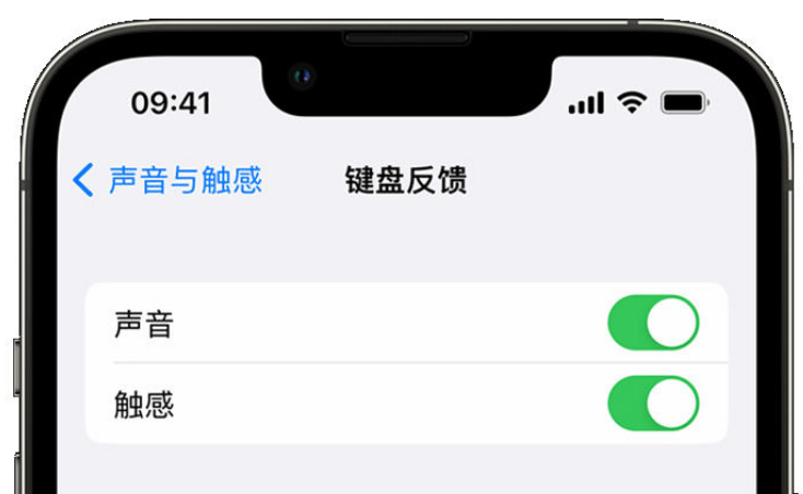 涞源苹果手机维修分享iPhone 14触感键盘使用方法 