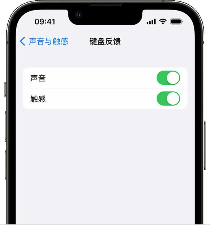 涞源苹果14维修店分享如何在 iPhone 14 机型中使用触感键盘 