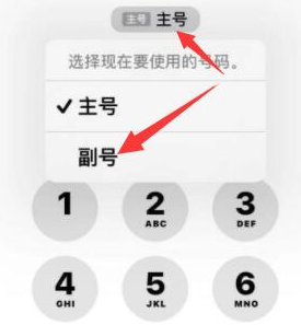 涞源苹果14维修店分享iPhone 14 Pro Max使用副卡打电话的方法 