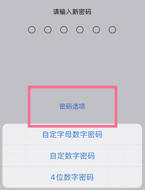 涞源苹果14维修分享iPhone 14plus设置密码的方法 