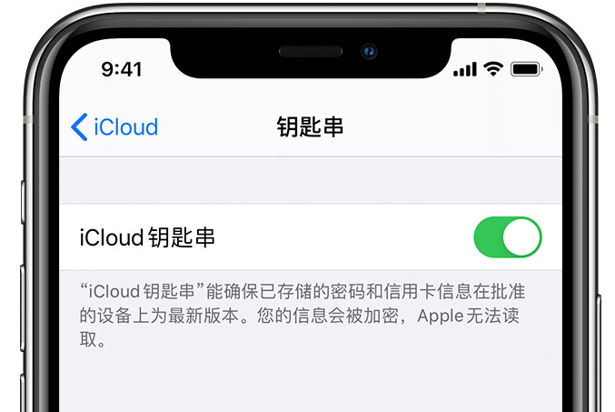 涞源苹果手机维修分享在 iPhone 上开启 iCloud 钥匙串之后会储存哪些信息 