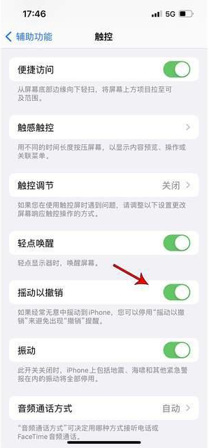 涞源苹果手机维修分享iPhone手机如何设置摇一摇删除文字 