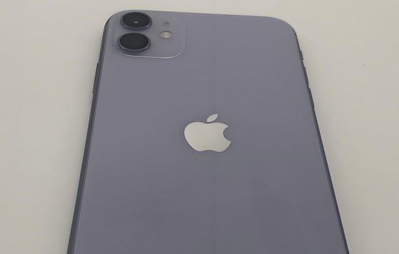 涞源苹果11系统维修分享iPhone11手机系统崩溃无法开机如何解决 