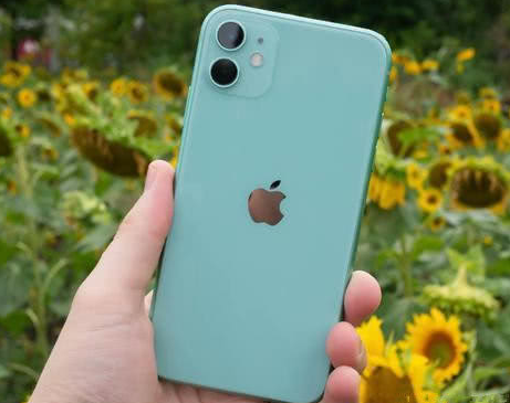 涞源苹果维修点分享iPhone 11锁屏密码认知与使用科普 
